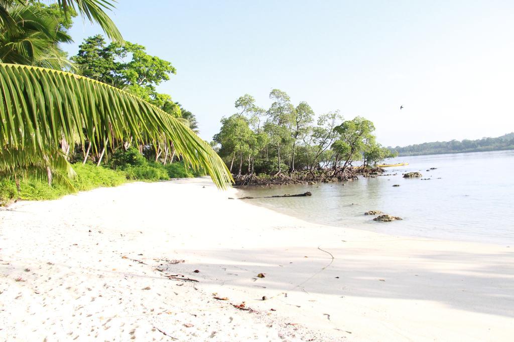 Havelock Island Beach Resort Govind Nagar Phòng bức ảnh